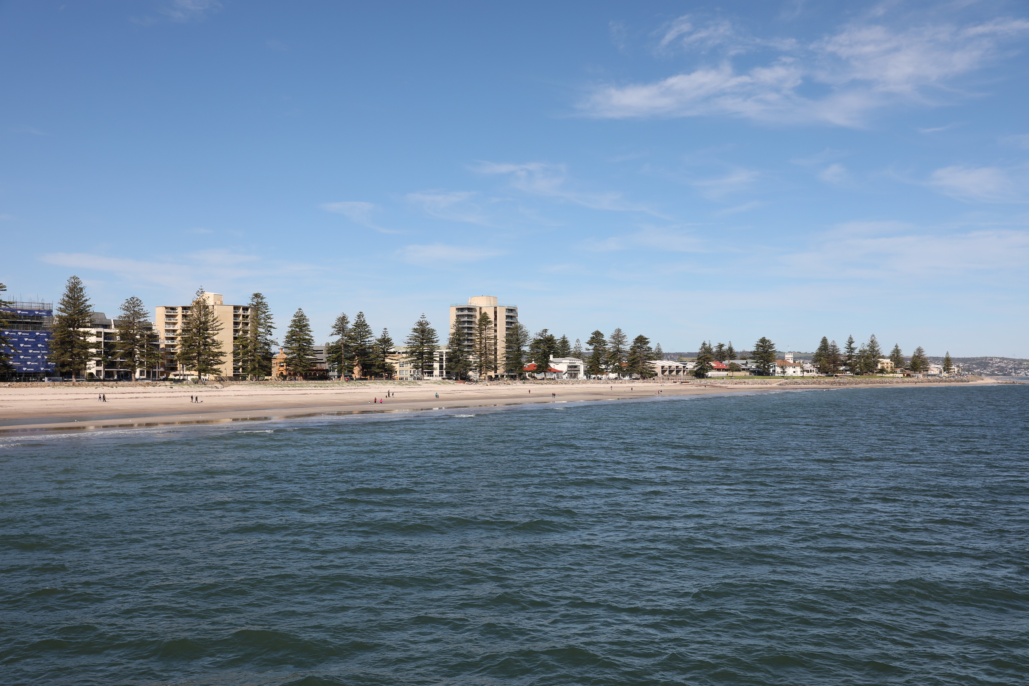 2019 08 04 13 50 06 Canon EOS 5D Mark IV 0002